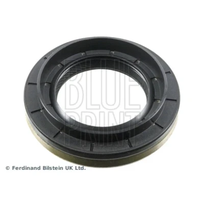 Bild av BLUE PRINT ADBP640023 Packningar Höger RENAULT: CLIO 2, NISSAN: Qashqai / Qashqai+2 I