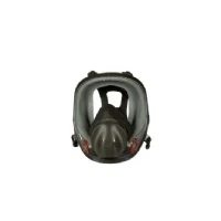 Bild av 3M™ Helmask 6800 Medium