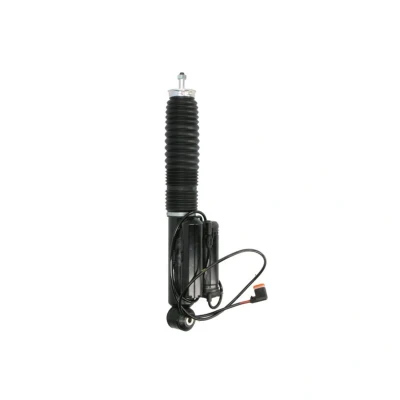 Bild av Stötdämpare Bilstein 26 220055