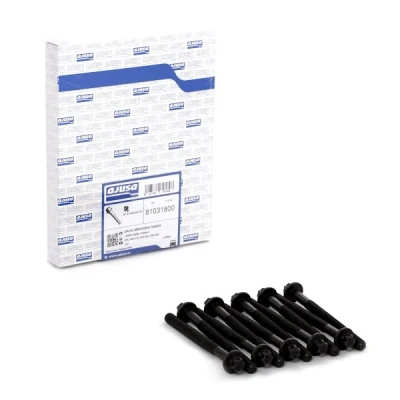 Bild av AJUSA 81031800 Jeu De Vis Culasse Torx extérieur 10 RENAULT: GRAND SCENIC 3, CLIO 2, Kangoo I Express, DACIA: Duster SUV, SANDERO Logan MCV
