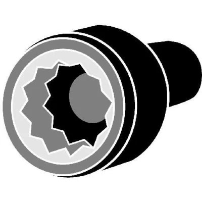 Bild av CORTECO 49362956 Jeu De Vis Culasse Polygone intérieur 10 AUDI: A4 B7 Avant, B8 Q5, VOLKSWAGEN: Passat B5 GP Berline, Touareg I