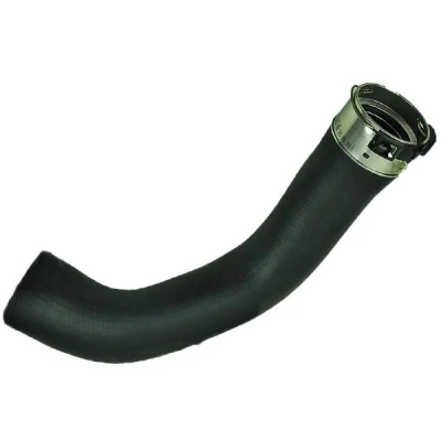 Bild av BUGIAD 81981 Gaine De Suralimentation NISSAN: Qashqai 2
