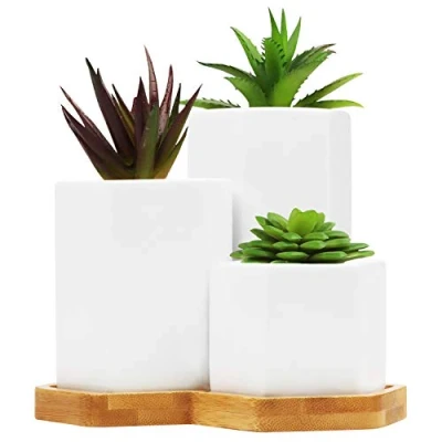 Bild av Belle Vous Vita Keramik Blomkrukor med Bambubricka (3 Pack) Små, Medium och Stora Kaktusar &amp; Blommor Planteraruppsättning Dränagehål För Kontor, Bänk, Inomhus Bord Utomhus