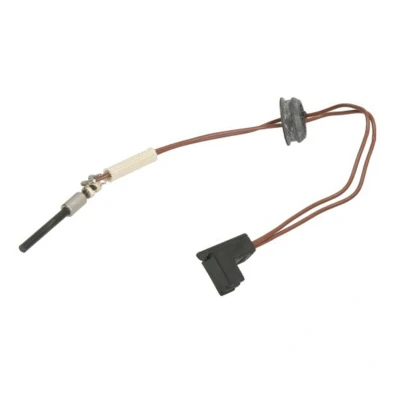 Bild av Flamsensor, tillsatsvärme WEBASTO 82306C
