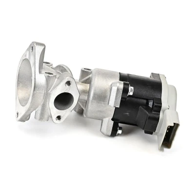 Bild av Agr Ventil DELPHI EG10640 12B1