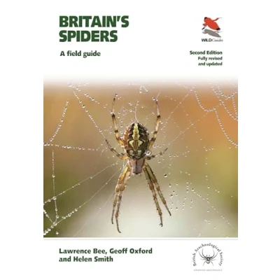 Bild av Britain&#039;s Spiders: A Field Guide Fully Revised and Updated Second Edition: 77